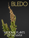 Medicinal-plants-mini-titles-FLAAR-reports-image4