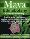 Mayan ethnobotany Guatemala Honduras El Salvador Mexico Belize utilitarian and sacred plants flowers
