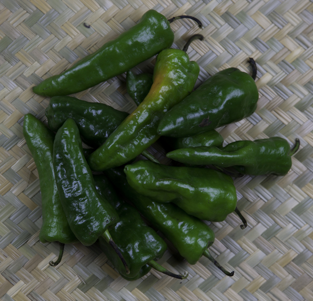 Chile jalapeño verde spices flavorings condiments for foods in pre Columbian diet of Guatemala Mexico Belize and Honduras