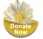 Ethnobotany site page Donations acknowled Botton DONATE NOW