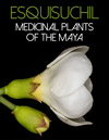 Medicinal-plants-mini-titles-FLAAR-reports-image
