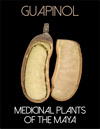 Medicinal-plants-mini-titles-FLAAR-reports-image8