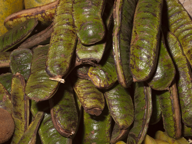 Paterna, Inga paterna fruits in a local market in Guatemala