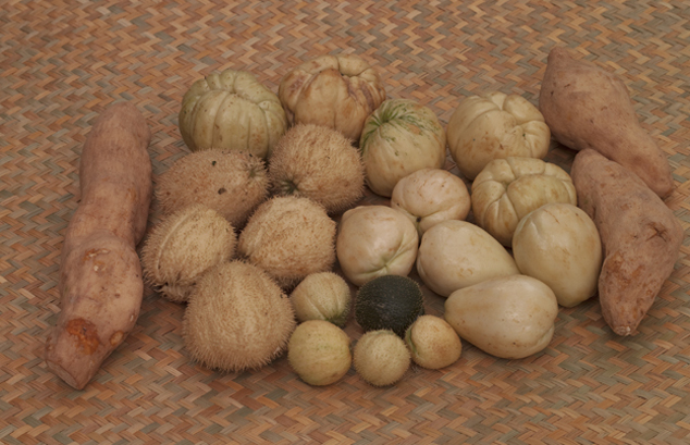 all kinds of chayote fruits and chayote root (ichintal), photo  by Nicholas Hellmuth