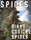 Ceiba Giant Conical Spines at Copan, 2012