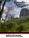 Bernoullia_flammea_mapola_&_temple_V_Tikal_FLAAR_Report