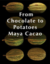 Sampeck From Chocolate to Potatoes Maya cacao cocoa FLAAR photos