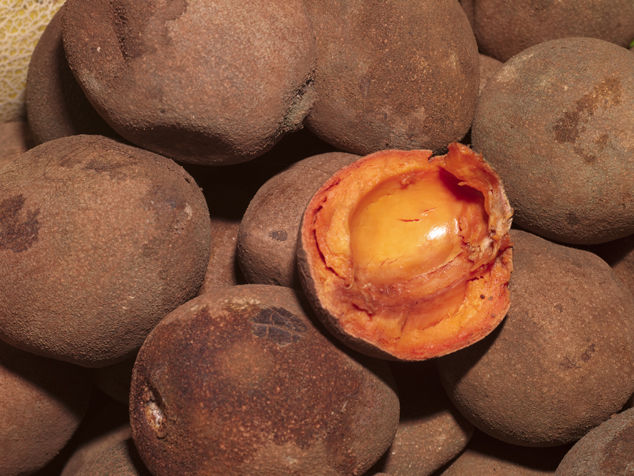 Chicozapote, Manilkara zapota fruit in a local market in Guatemala, Photo b...