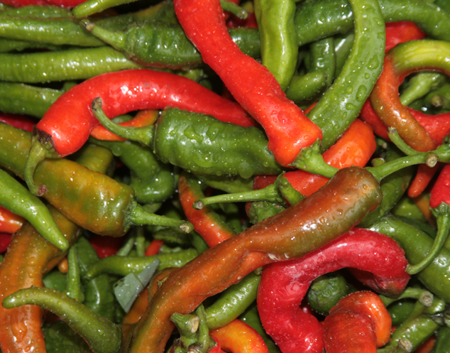 Chiles in a local market in San Juan Sacatepequez, Guatemala. Photo by Nicholas Hellmuth