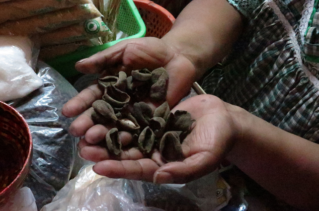 Cymbopetalum-penduliflorum-orejuela-FLAAR-cacao-natural-flavoring-coban-market