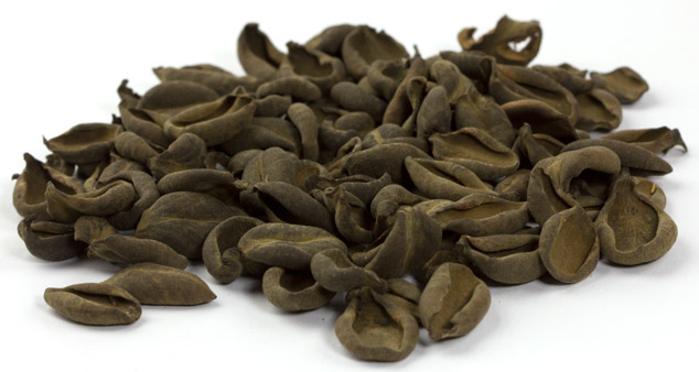 Cymbopetalum-penduliflorum-orejuela-close-flaar-maya-ethnobotany-cacao-natural-flavoring