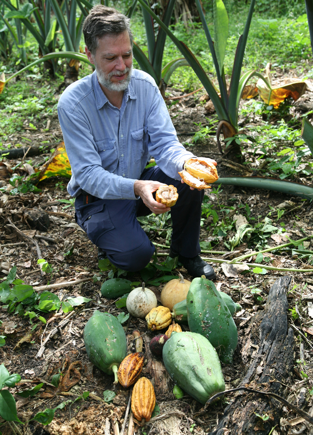 Dr Hellmuth with several species that fruits from the trunk, FLAAR Photo Archive