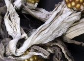 mature-maize-corn-photo-studio