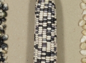 maize_seeds_cobs_colors