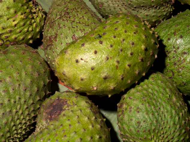 Guanabana, Annona muricata fruit from a local market in Guatemal. Photo by Nicholas Hellmuth, Guatemala.