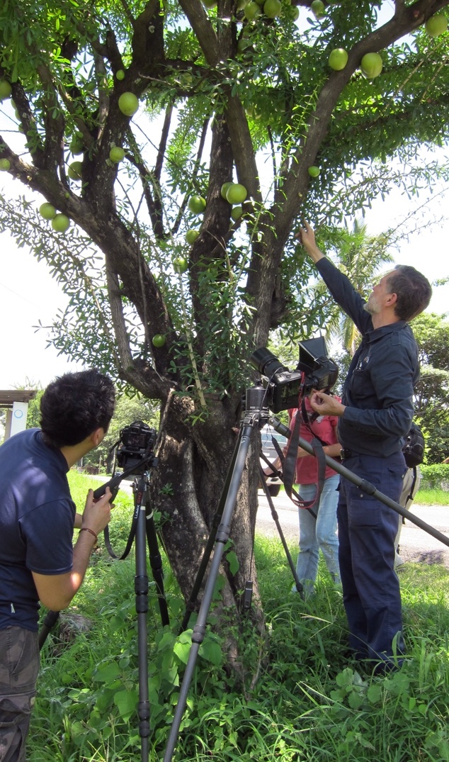 Gustavo Gallegos Nicholas Hellmuth photographing morro