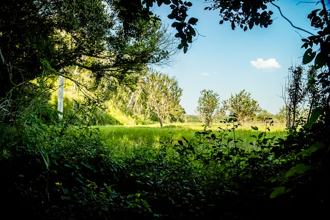 Nakum-savanna-landscape-tasiste