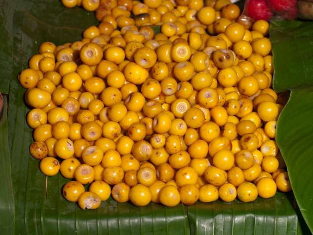 Nance (Byrsonima crassifolia) at a market in Guatemala, FLAAR Photo Archive