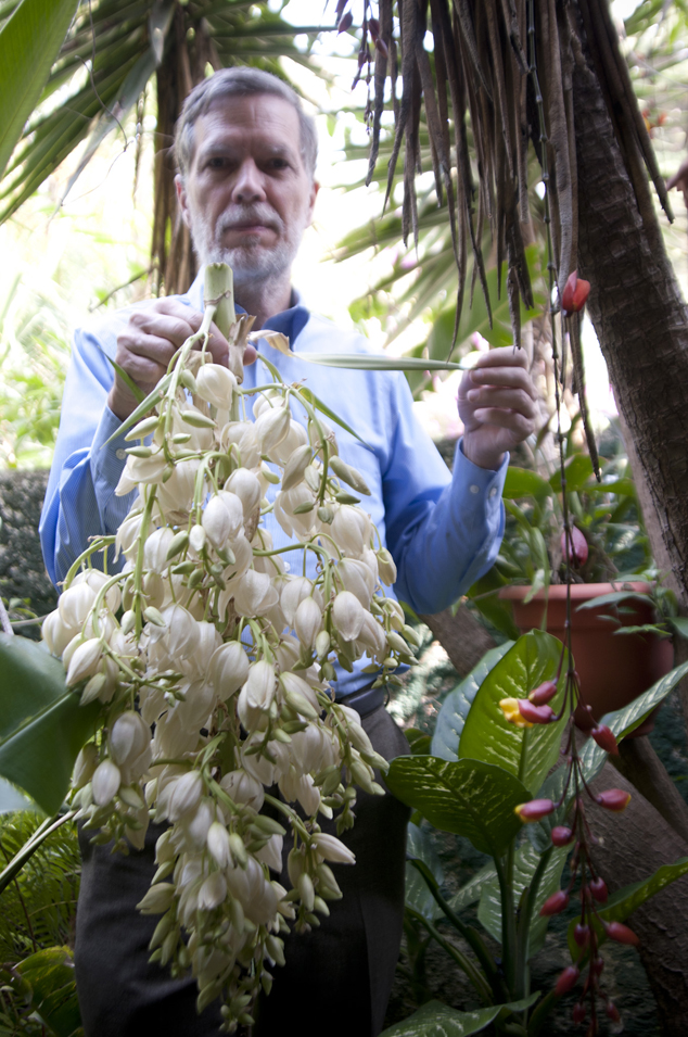 Nicholas Hellmuth at flaar office holding a izote flower recently cut from the garden. 