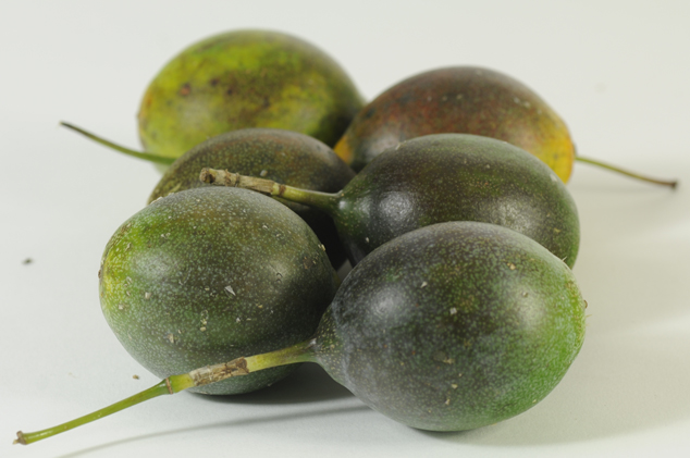 Sweet granadilla, Passiflora ligularis edible fruit at FLAAR studio. Photo by Jaime Leonardo, Guatemala City.