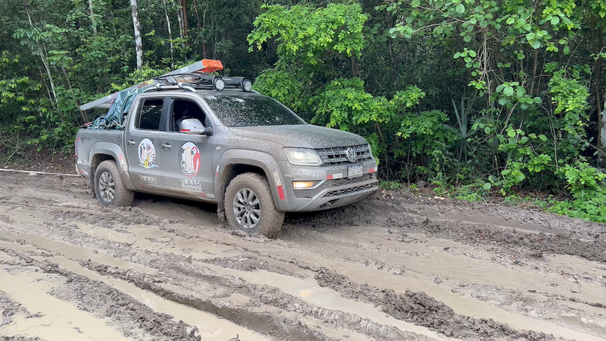 VW Guatemala