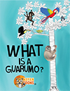 What is a guarumo-2016-FLAAR-Storyboard-Minititle