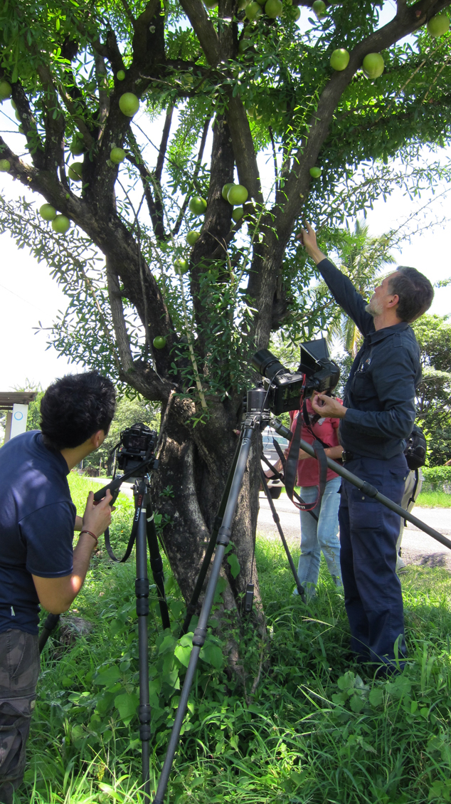 FLAAR staff photographing morro using Gitzo and Manfrotto tripod and tripod heads