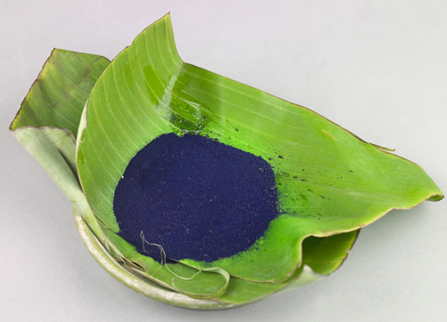 Image Indigo color produce from the plant Indigofera guatemalensis