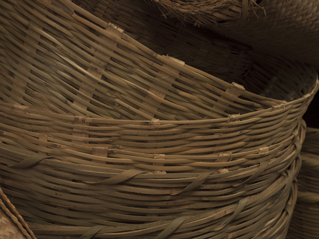 Feuilles de mérinard ou djèka en dioula (Cote d'ivoire), feuilles mort –  Nature Gifts