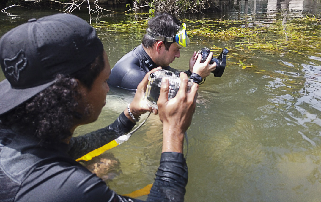 new-equipment-water-plants-aquatic-canon-rio-dulce-livingston