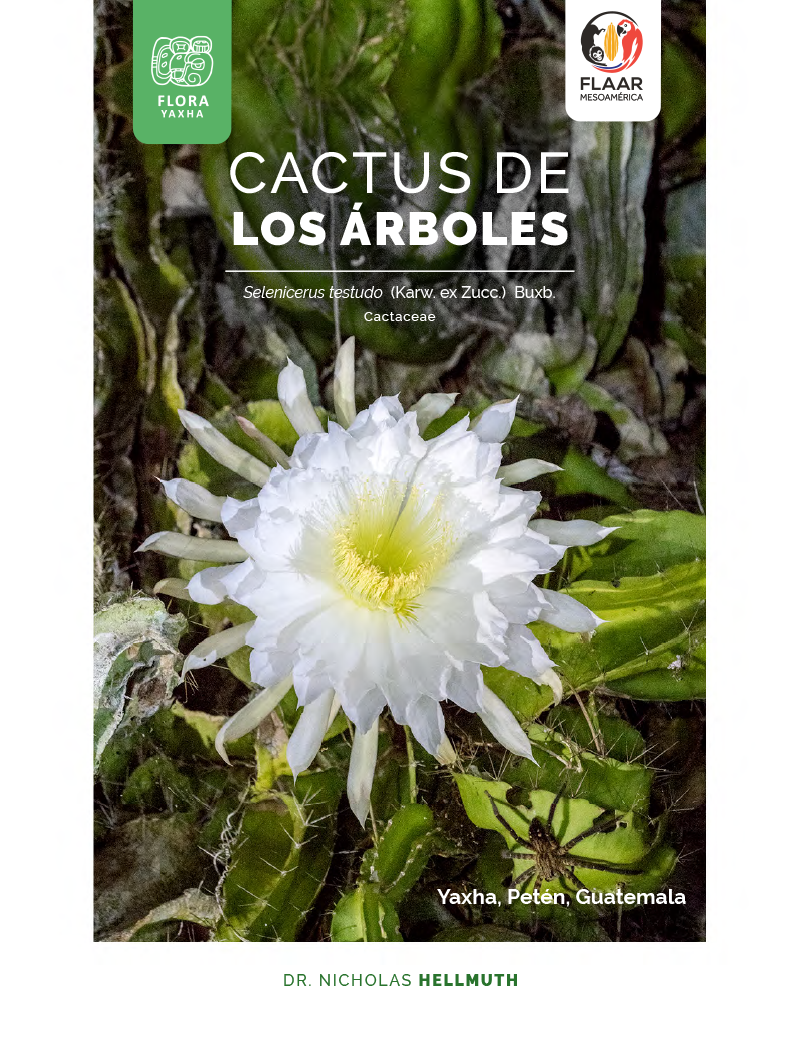 Cactus de los Árboles