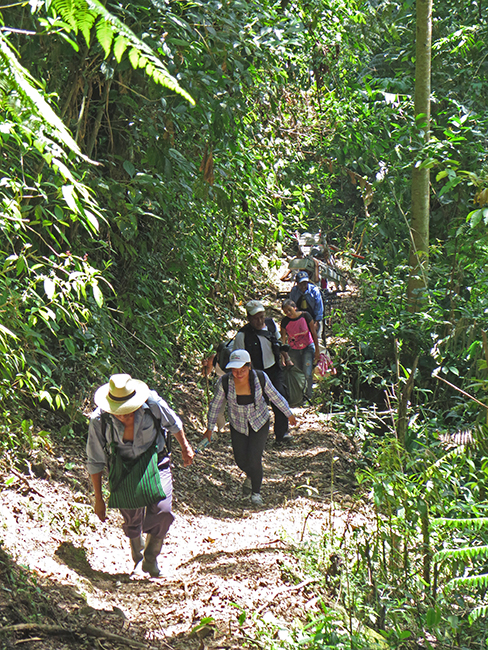 It took about 10 people to carry everything up the mountain. Not even 4WD could get to anywhere near the trees (since at these altitudes there are no roads).