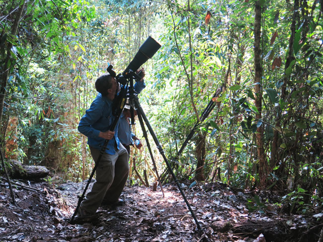 Guatemala-Cacao-flavor-Nicholas-Hellmuth-Nikon-D800-Nikkor-Lens-400mm-IMG 0002