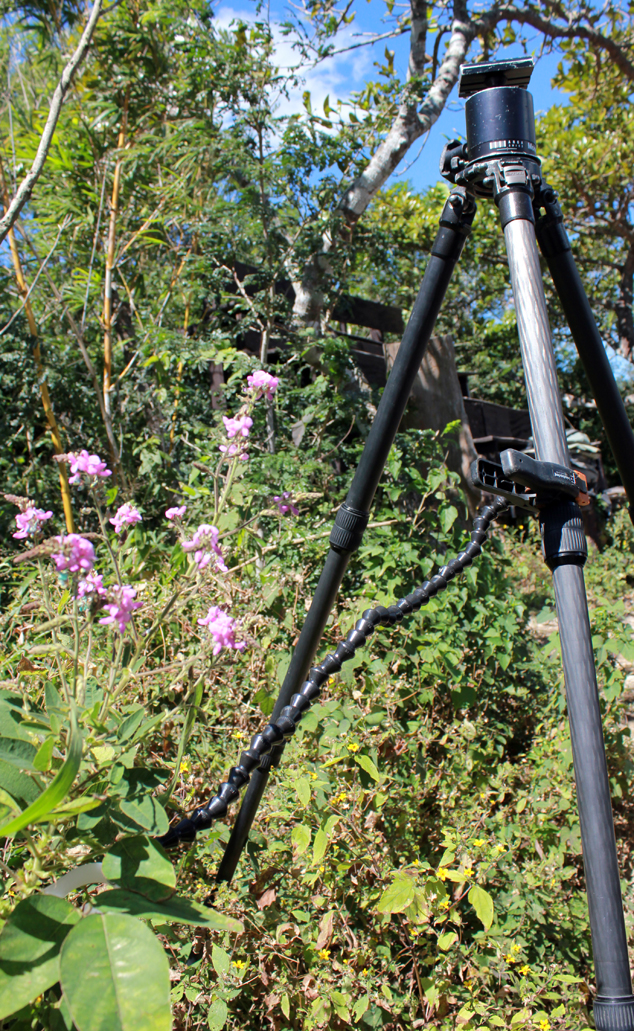 Wimberly plamp + Gitzo tripod + Arca-Swiss tripod head